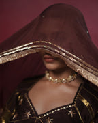 Ragini Brown Silk Lace & Tassel Dupatta for Choli