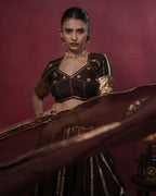 Ragini Brown Muslin Silk Chaniya Choli