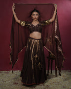 Ragini Brown Muslin Silk Chaniya Choli