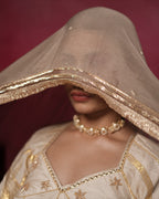Ragini White Muslin Silk Chaniya Choli